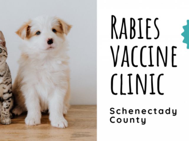 Schenectady County Rabies Vaccine Clinic for Pets