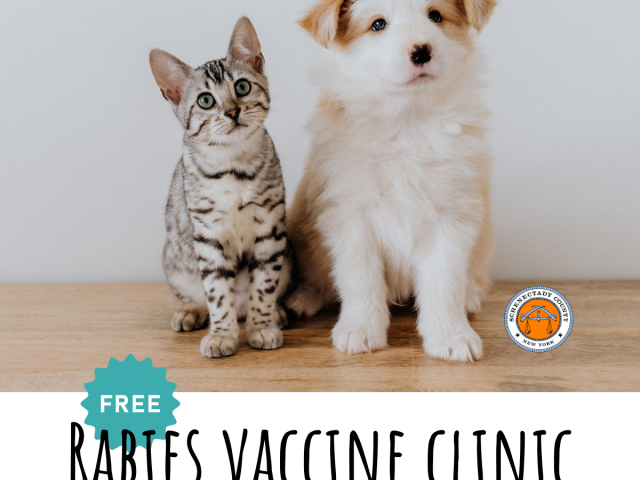 Schenectady County Rabies Vaccine Clinic for Pets