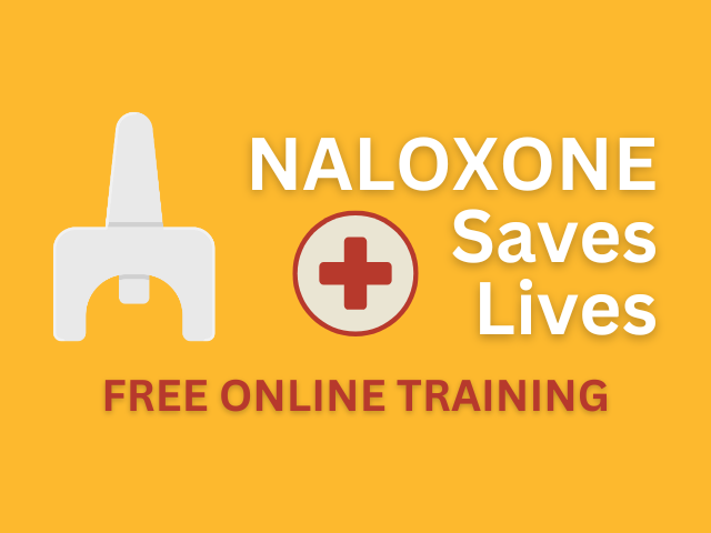 Schenectady County Naloxone Training Saves Lives